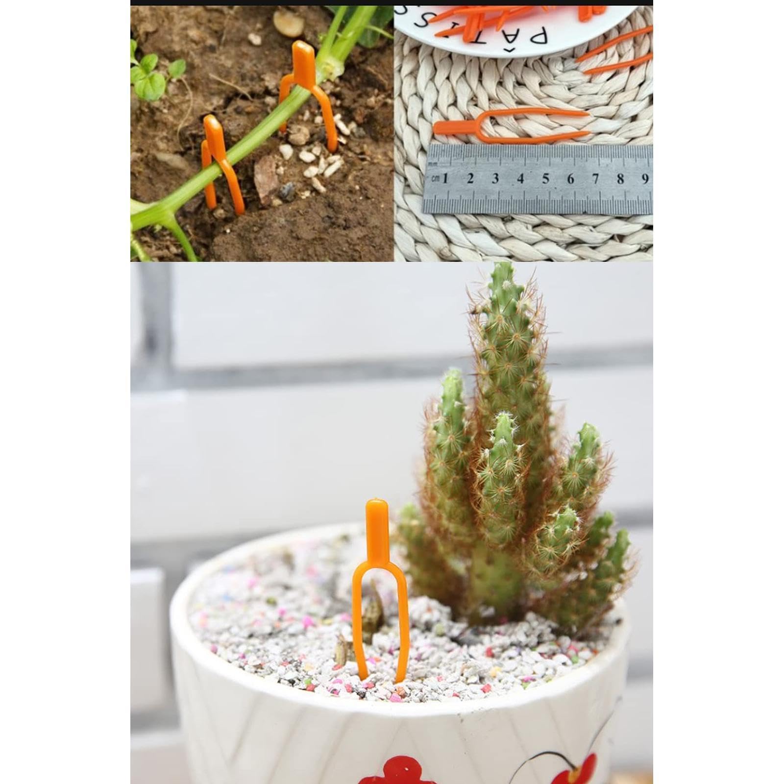 Amazon.co.jp: 植物サポート 園芸 クリップ 100本セット プラント